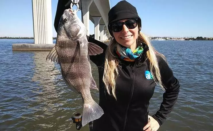 Black Drum Vs Sheepshead Fish Black Drum Vs Sheepshead Fish